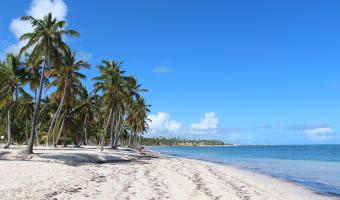 View Punta Cana Travel Guide