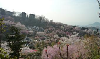 View Fukushima Travel Guide