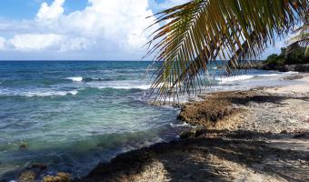 View Montego Bay Travel Guide