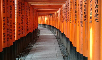 View Kyoto Travel Guide