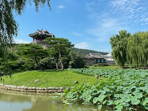 Suwon Photo  №4