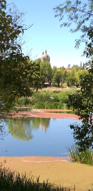 Salamanca Photo  №6