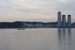 Busan Photo  №6