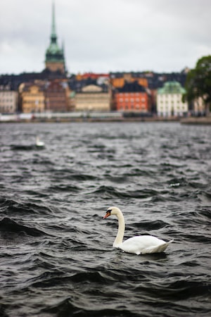 Stockholm Photo  №2