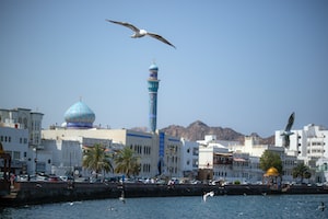 Muscat Photo  №2