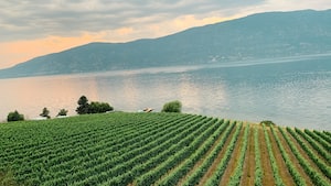 Kelowna Photo  №1