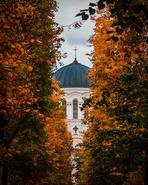 Kaunas Photo  №6