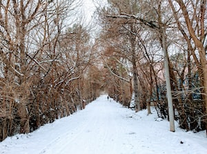 Adana Photo  №6