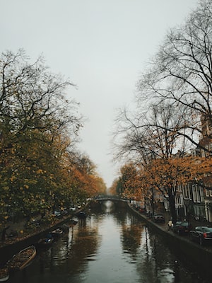 Amsterdam Photo  №3