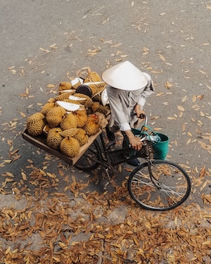 Hanoi Photo  №8