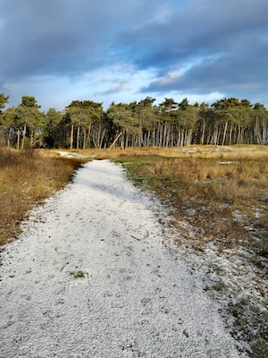 Klaipeda Photo  №2