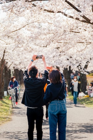 Fukushima Photo  №6