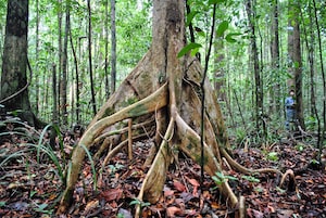 Bandar Seri Begawan Photo  №2