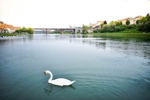 Maribor Photo  №2