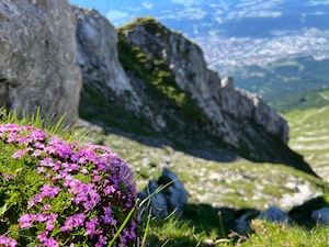 Innsbruck Photo  №4