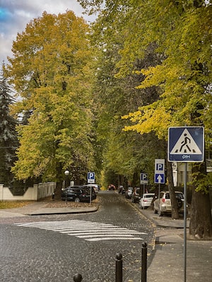 Lviv Photo  №6