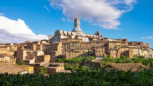 Siena Photo  №8