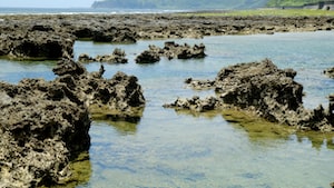 Okinawa Photo  №4