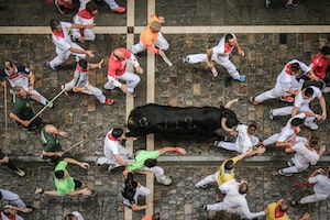 Pamplona Photo  №7