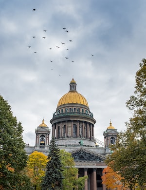 Saint Petersburg Photo  №6