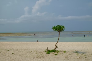 Okinawa Photo  №6