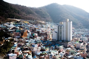 Busan Photo  №1