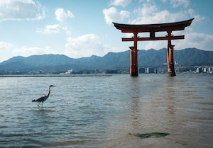 Hiroshima Photo  №4