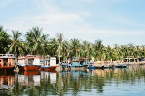 Da Nang Photo  №4