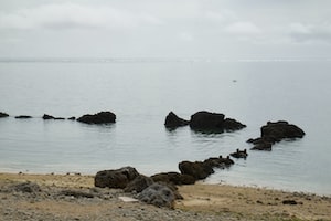 Okinawa Photo  №1