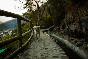 Andorra la Vella Photo  №4