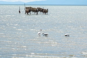 Thessaloniki Photo  №2