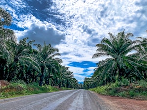 Sihanoukville Photo  №3