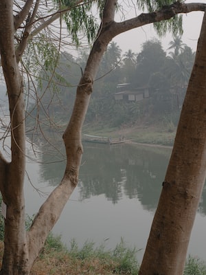 Luang Prabang Photo  №3