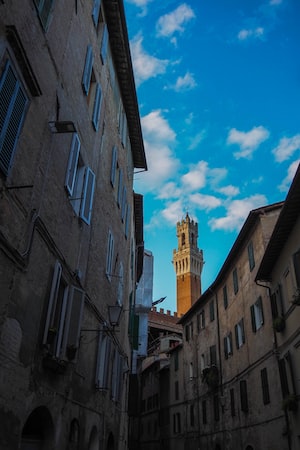 Siena Photo  №3