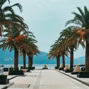 Tivat Photo  №7