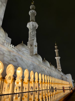 Abu Dhabi Photo  №4