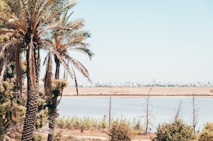 Larnaca Photo  №7