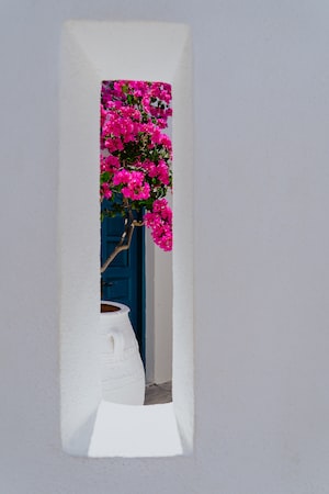 Mikonos Photo  №6