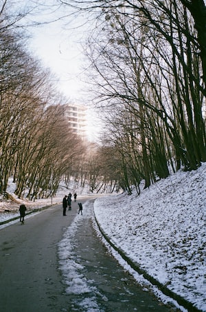 Lviv Photo  №5