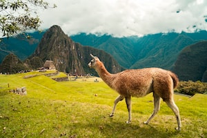 Cusco Photo  №2