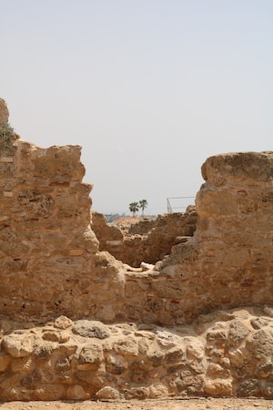 Paphos Photo  №3