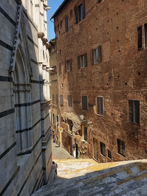 Siena Photo  №5