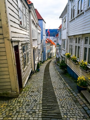 Bergen Photo  №8