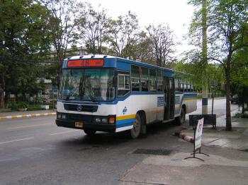 Bus