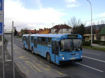 Bus