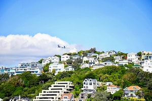 Wellington Photo  №6