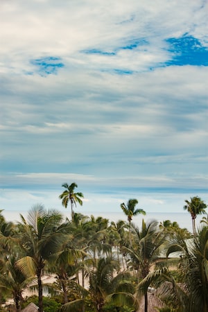 Suva Photo  №8