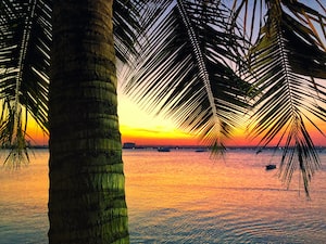 Dar Es Salaam Photo  №5