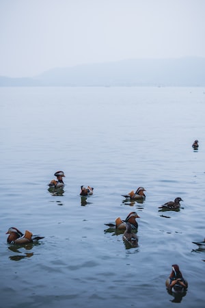 Hangzhou Photo  №7