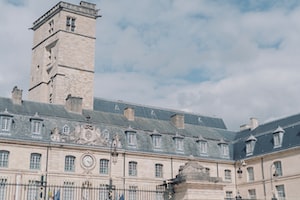 Dijon Photo  №8
